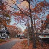 アプリコットペンション（長野県 ペンション） / 4