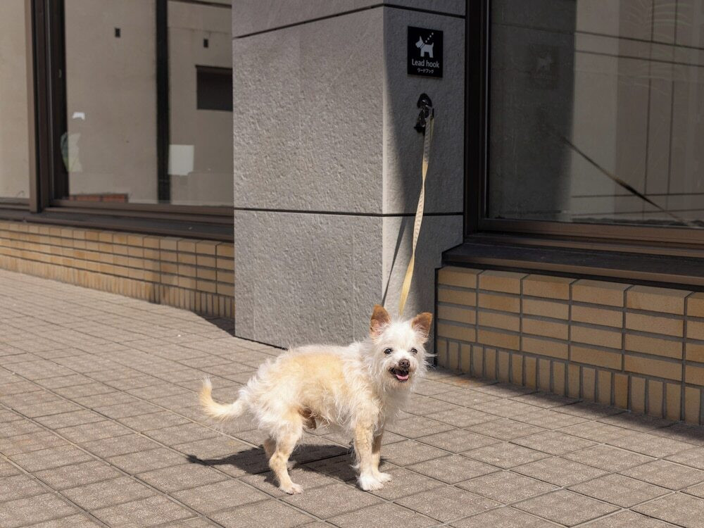 ペット用設備・サービス