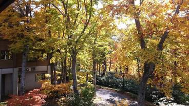 施設からの眺望 / 38