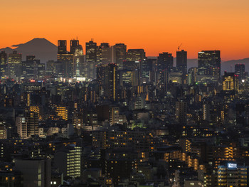 いかがでしたか？4283062