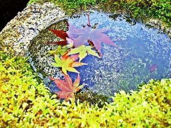 奥の院 ほてるとく川3412946
