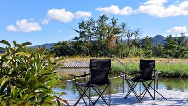 テラス / パティオ / 9