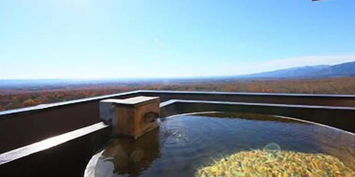 那須いちやホテル(栃木県 リゾートホテル) / 1