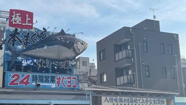 シティ ビュー / 14