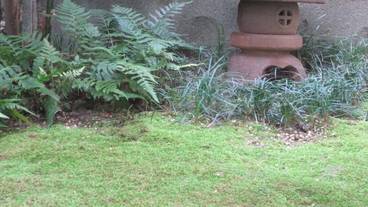 施設の敷地 / 13