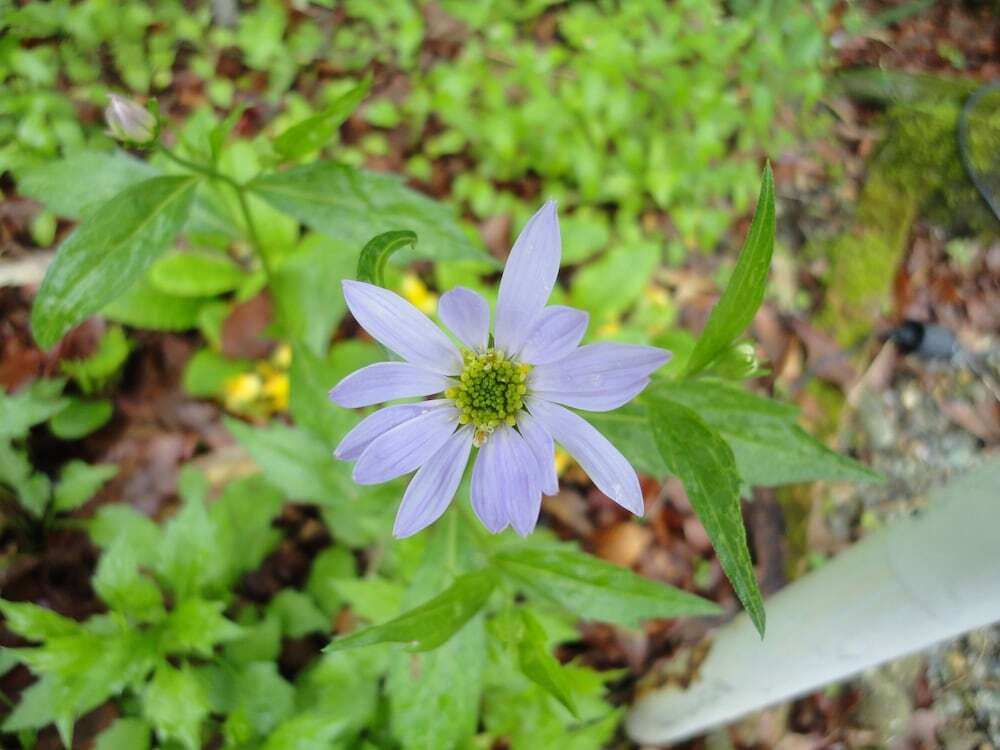 施設からの眺望