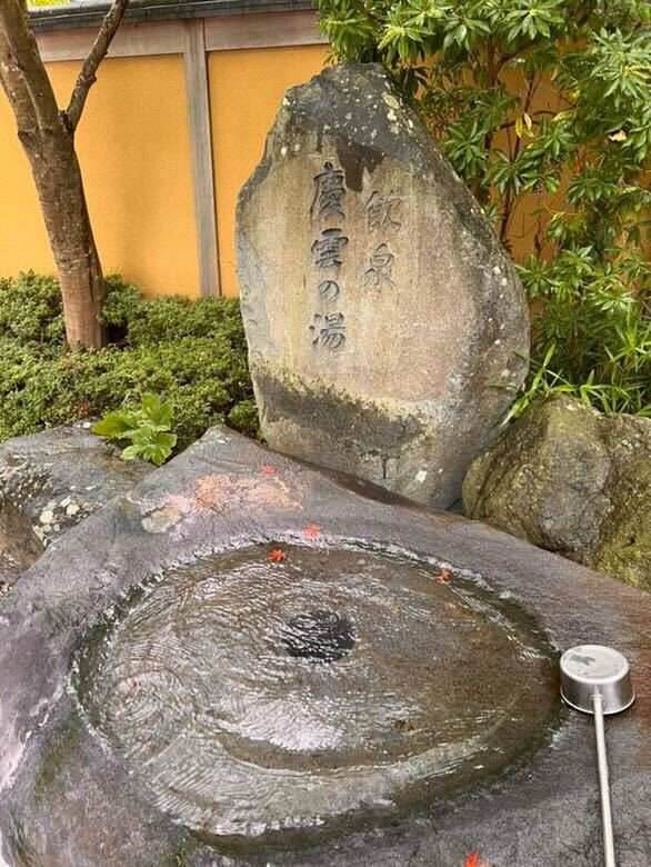 aoyuuzさんの写真 / 2