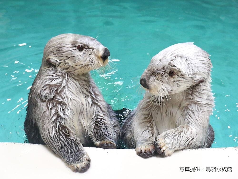 観光スポット