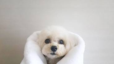 バスルーム / 29