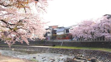 シティ ビュー / 21