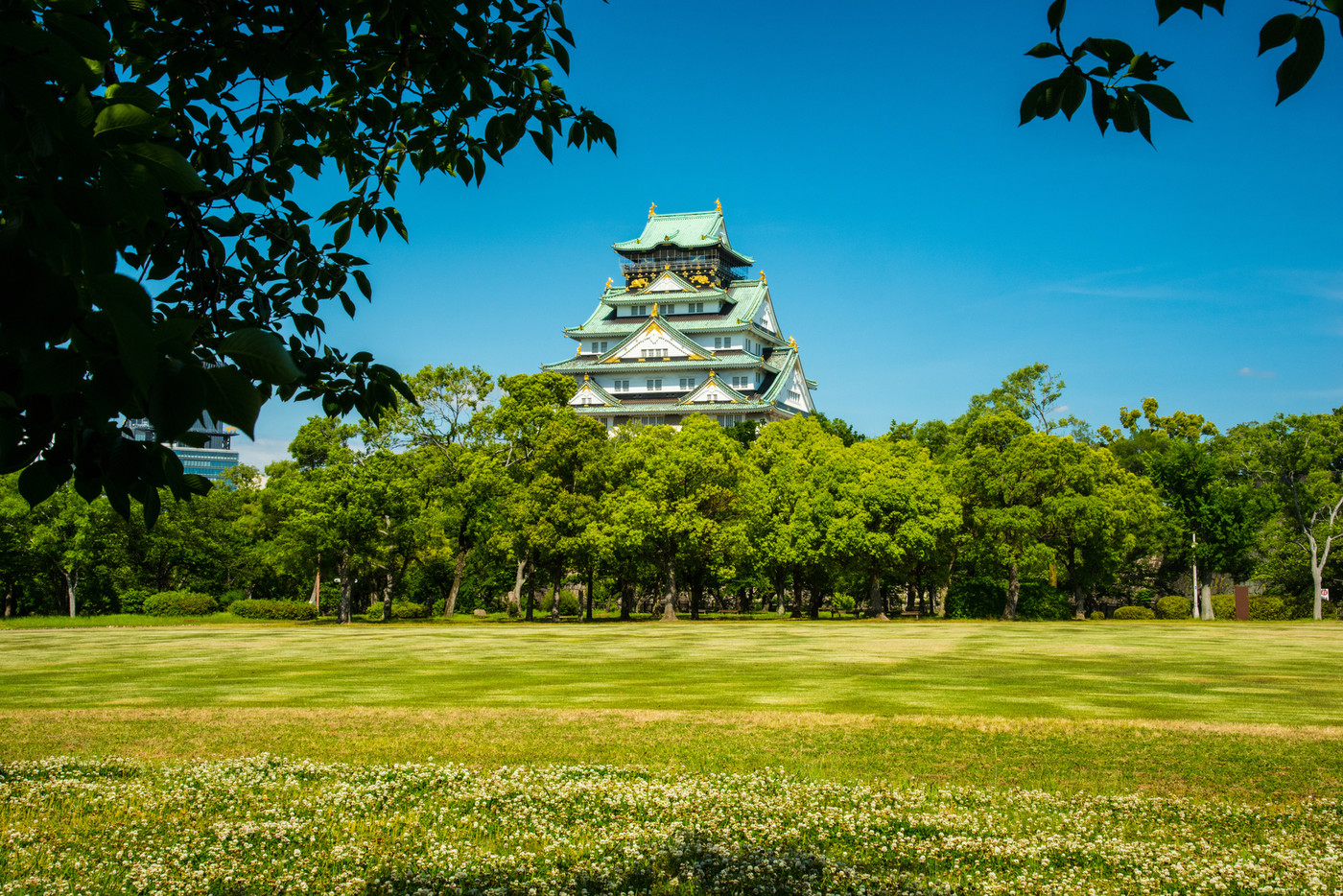 大阪城と新緑