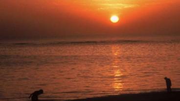 施設からの眺望 / 24