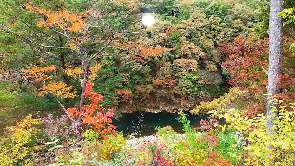 マウンテン ビュー