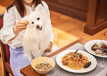 「Wande Shiba」 その他 192238828 