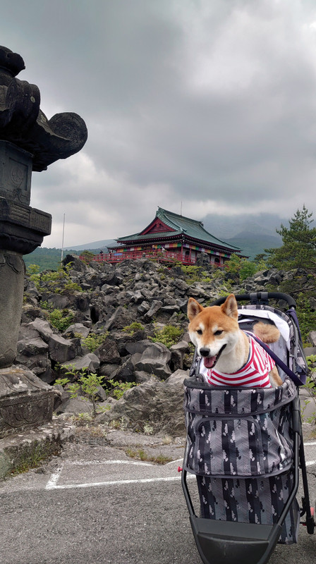 pinky.yuki_go.kam2さんの写真 / 3