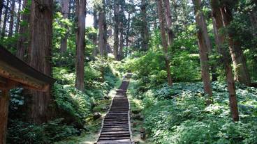 観光スポット / 29