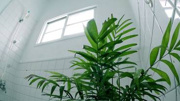 バスルームのシャワー / 21