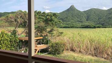 バルコニーからの眺望 / 21