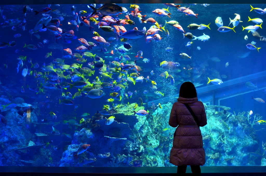 いかがでしたか？3475388