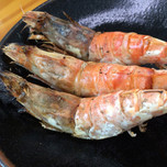鳥取・幻グルメ！県内でしか食べられない「モサエビ」が味わえる居酒屋