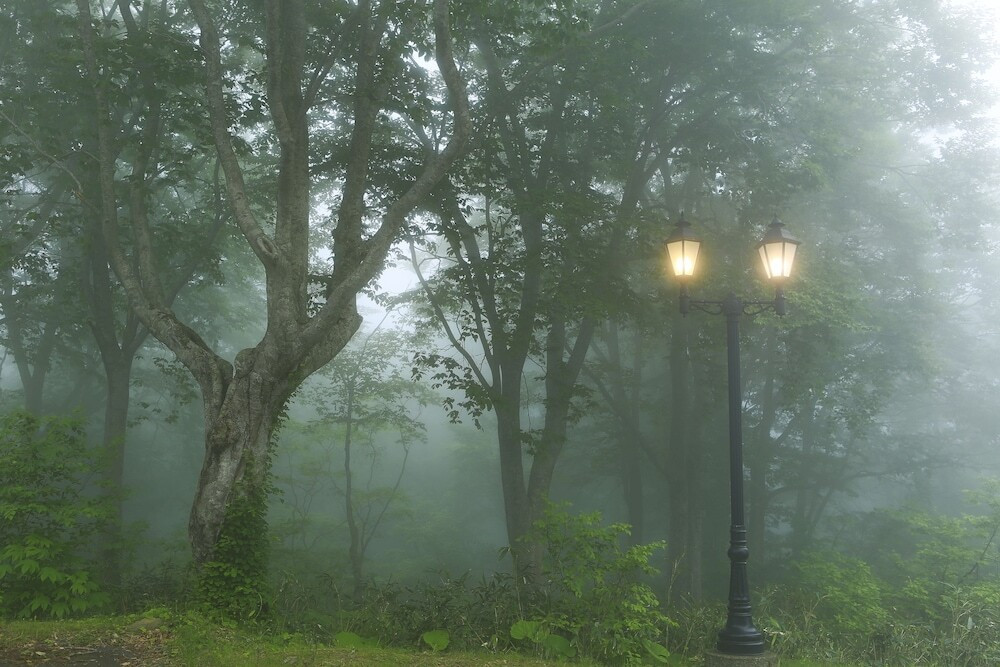 施設からの眺望