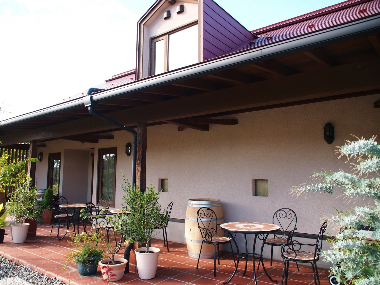 カーブドッチ ヴィネスパ(新潟県)818249