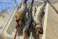 清流長良川 あゆパーク