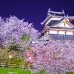 奈良の都の八重桜～あまりに美しいおすすめ花見スポット7選
