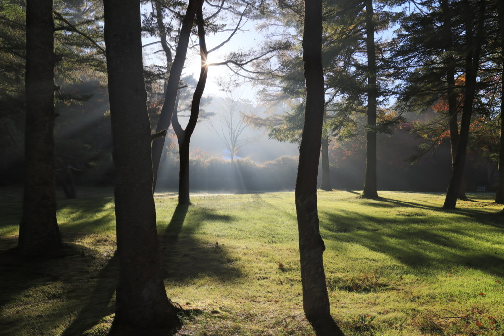 軽井沢でちょっぴり贅沢なお泊まりデートを。3432520