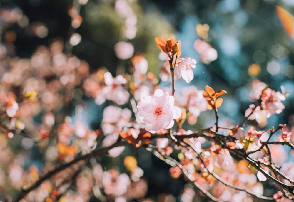 施設からの眺望