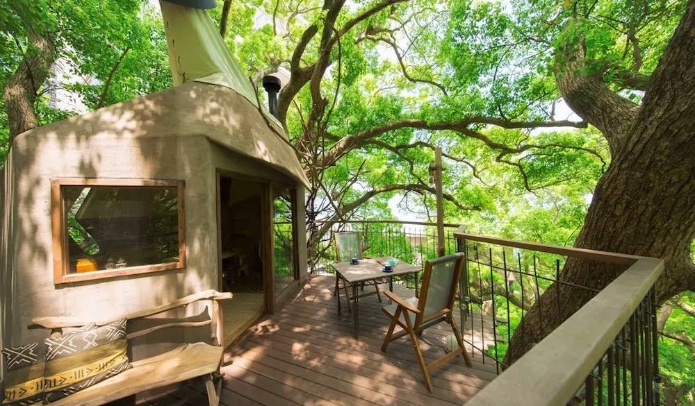 地上15mにあるツリーハウス。午前中は自由に楽しめるので、朝のお散歩に立ち寄るのがおすすめ。森林浴で森の自然をダイレクトに感じてみて。