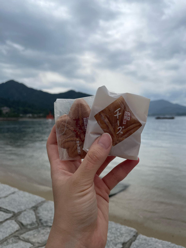 manpuku_gram24さんの写真 / 3