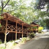 蔵迫温泉さくら(熊本県 コテージ・ロッジ・一棟貸) / 4