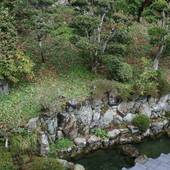 大原温泉 湯元のお宿 民宿 大原山荘（京都府 民宿） / 5