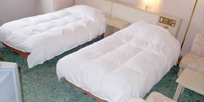 福井パレスホテル（福井県 シティホテル） / 1