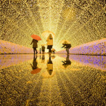 名古屋からアクセス便利！花と光が織りなす楽園「なばなの里」の見どころを紹介