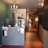 Iwatoyama Hostel（岩戸山ホステル）（京都府 ゲストハウス・ホステル・ドミトリー） / 2