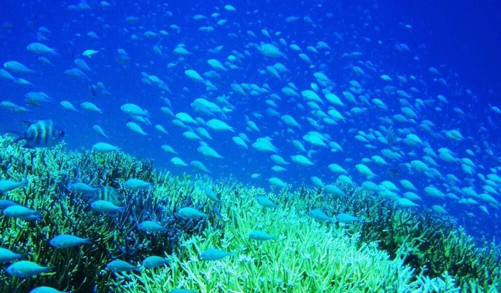 南国のゆるやかな空気
夫婦で癒されるステイ / 5