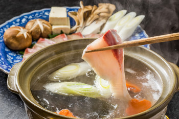 Shabu-shabu Japanese food of yellowtail