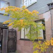 旅館 松風（長野県 旅館） / 4