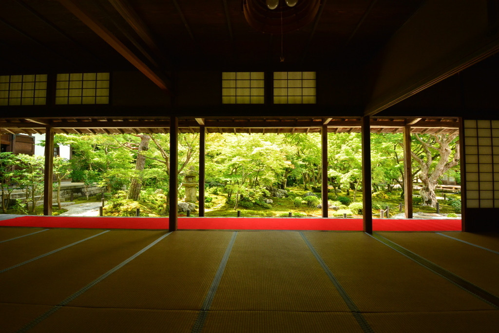 心穏やかな時間が流れる...尼僧が修行していたお寺1772101
