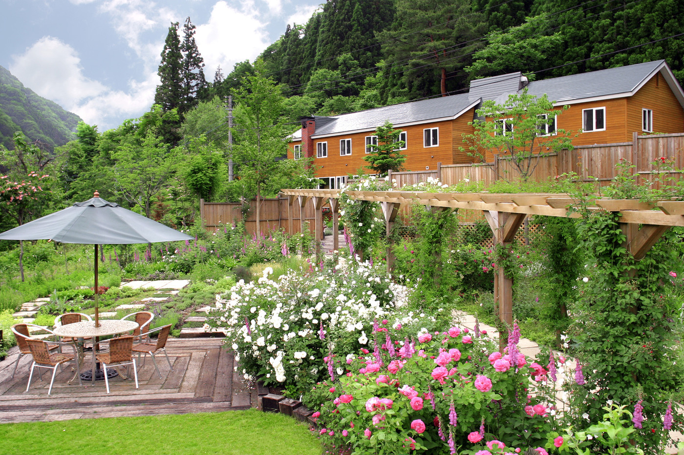 季節を感じるガーデンで、看板犬と戯れてみて♩3519535