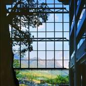 屋久島いわさきホテル（鹿児島県 リゾートホテル） / 3