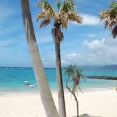 奄美リゾート ばしゃ山村（鹿児島県 リゾートホテル） / 3