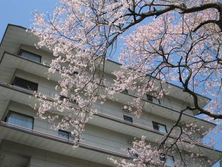 日光千姫物語 / 4