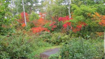 施設の敷地 / 19