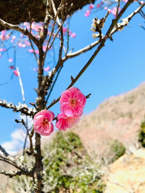 tawayukiさんの写真 / 4