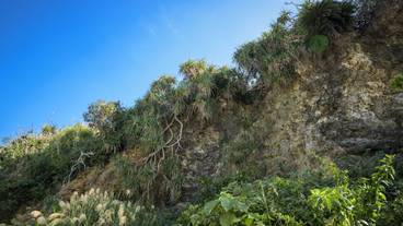 施設からの眺望 / 16