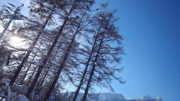 施設の敷地 / 35