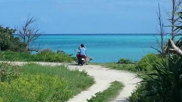 施設からの眺望 / 40